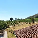 Among Olive Trees And Vineyards In Complete Relax - Torreselle *
