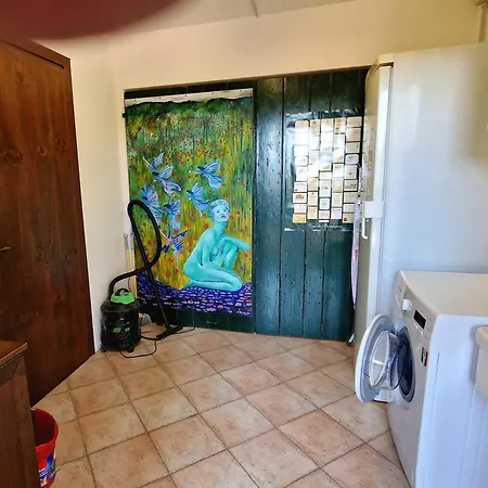 Apartment Among Olive Trees And Vineyards In Complete Relax - Torreselle Cinto Euganeo