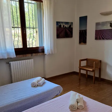 Among Olive Trees And Vineyards In Complete Relax - Torreselle Apartment *