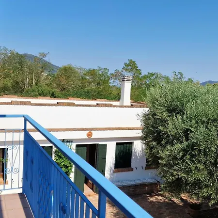 Among Olive Trees And Vineyards In Complete Relax - Torreselle * Cinto Euganeo
