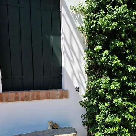 Among Olive Trees And Vineyards In Complete Relax - Torreselle Cinto Euganeo