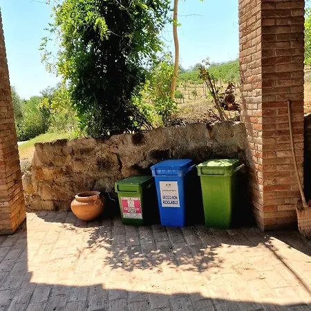 Among Olive Trees And Vineyards In Complete Relax - Torreselle * Cinto Euganeo
