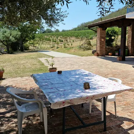 Daire Among Olive Trees And Vineyards In Complete Relax - Torreselle