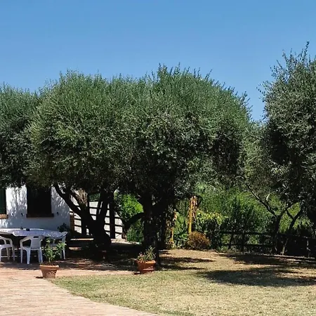 Apartment Among Olive Trees And Vineyards In Complete Relax - Torreselle