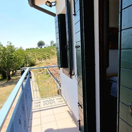 Among Olive Trees And Vineyards In Complete Relax - Torreselle Апартаменты *