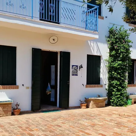 Among Olive Trees And Vineyards In Complete Relax - Torreselle Cinto Euganeo