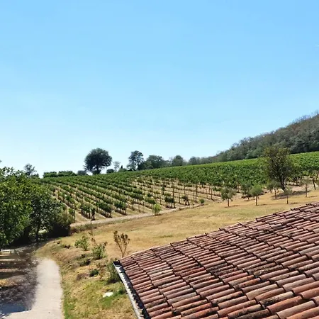 Among Olive Trees And Vineyards In Complete Relax - Torreselle *